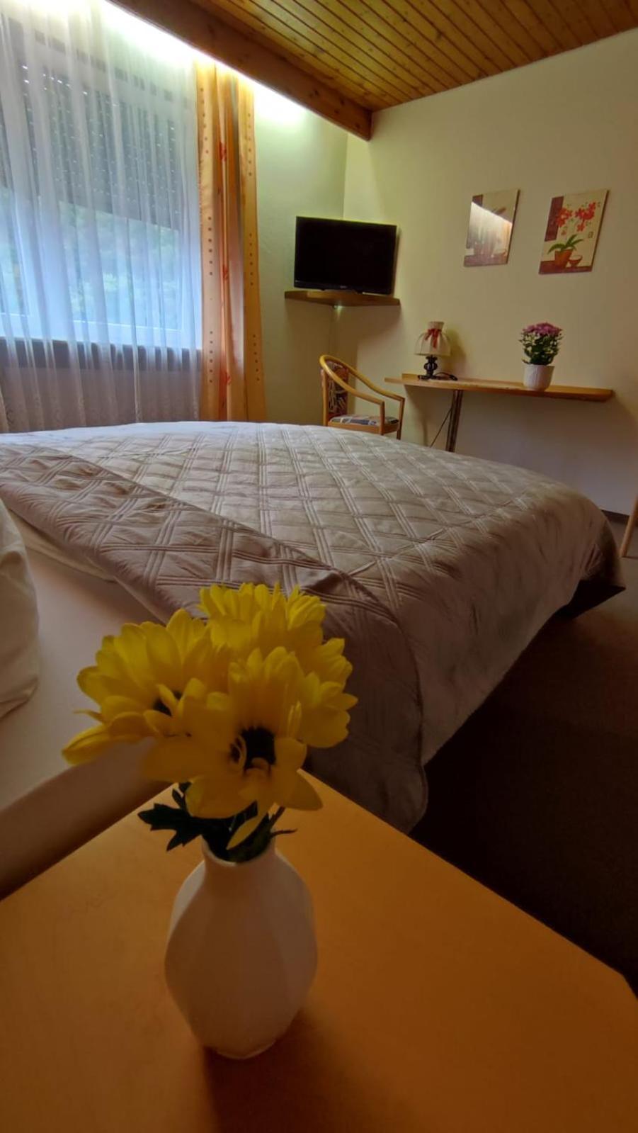 Hotel Restaurant Freihof Oberharmersbach Buitenkant foto